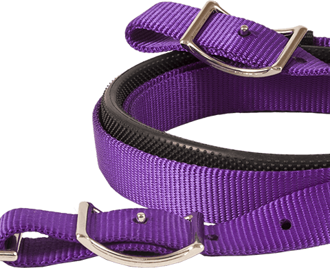 Mustang Reins