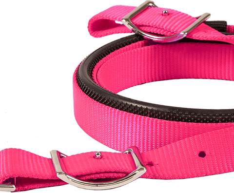 Mustang Reins