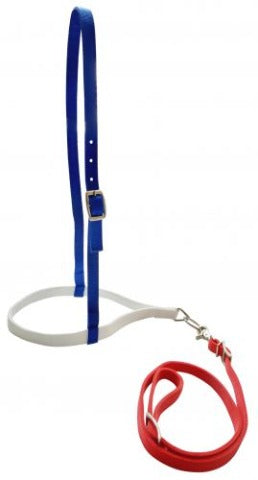 Nylon Noseband W/Tie Down ~ Red White & Blue - Henderson's Western Store