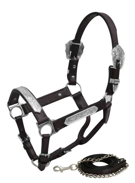 Show Halter ~ Yearling - Henderson's Western Store