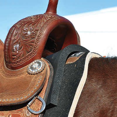EquiBrand Saddle