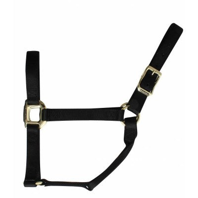 Nylon Halter by Professional's Choice ~ Large - Henderson's Western Store