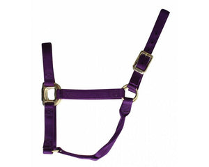 Load image into Gallery viewer, Nylon Halter by Professional&#39;s Choice ~ Average - Henderson&#39;s Western Store