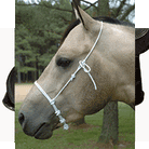 Partrade Halters