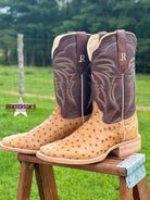 Antique Bruciato FQ Ostrich ~ Laguna Gognac - Henderson's Western Store